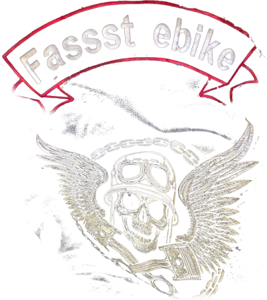 Fassst eBike skull and wings banner